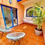 Paradise Dreams Taurito