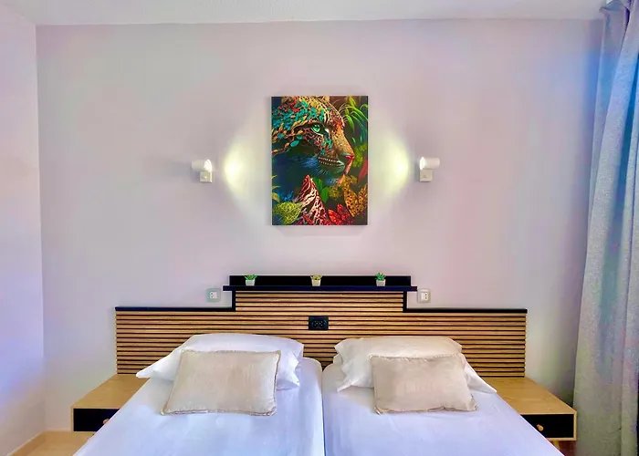 Paradise Dreams Taurito