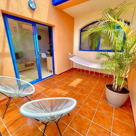 Paradise Dreams Taurito